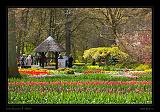 Keukenhof Hollandia 030